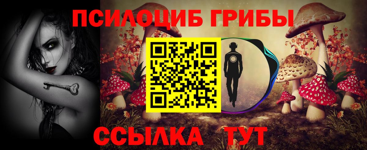 Псилоцибиновые грибы мицелий  закладка  Кизляр  Вход с VPN 