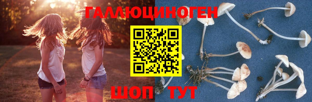 Галлюциногенные грибы Cubensis Кизляр